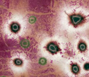 Jörg Sasse, LM-11-07, 2011, C-Print, Detail