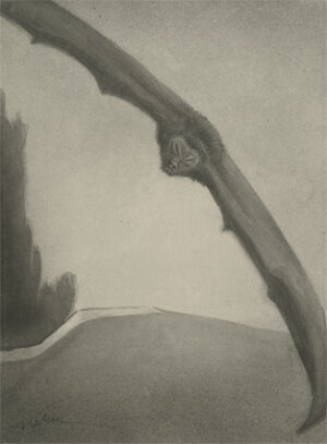 Alfred Kubin; Friedhofsmauer, um 1902; Tusche, laviert, auf Papier; 24,8 x 18,2 cm; Oberösterreichisches Landesmuseum, Linz