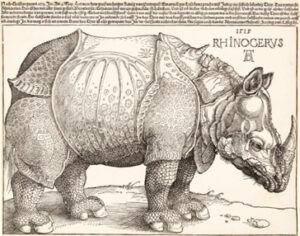 Prägte bis ins 19. Jahrhundert unsere Vorstellung vom Nashorn: Dürers „Rhinocerus“, 1515, Holzschnitt und Typendruck, 239 x 298 mm, Städel Museum
