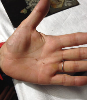 Kaum zu erkennen: So klein sind die Proben, die für die Holzartenbestimmung unter dem Mikroskop entnommen werden. Foto: Städel Museum