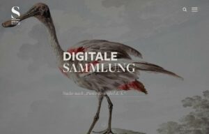 Die Startseite der Digitalen Sammlung des Städel Museums