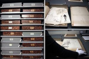 100.000 Grafiken werden in vielen Kästen und Schränken verwahrt - auch diese Zeichnungen von Ferdinand Fellner (1799-1859).