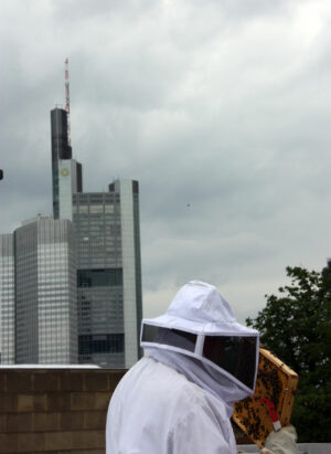 Michael Edelmann hat keine Augen für die Frankfurter Skyline – nur für seine Bienen.