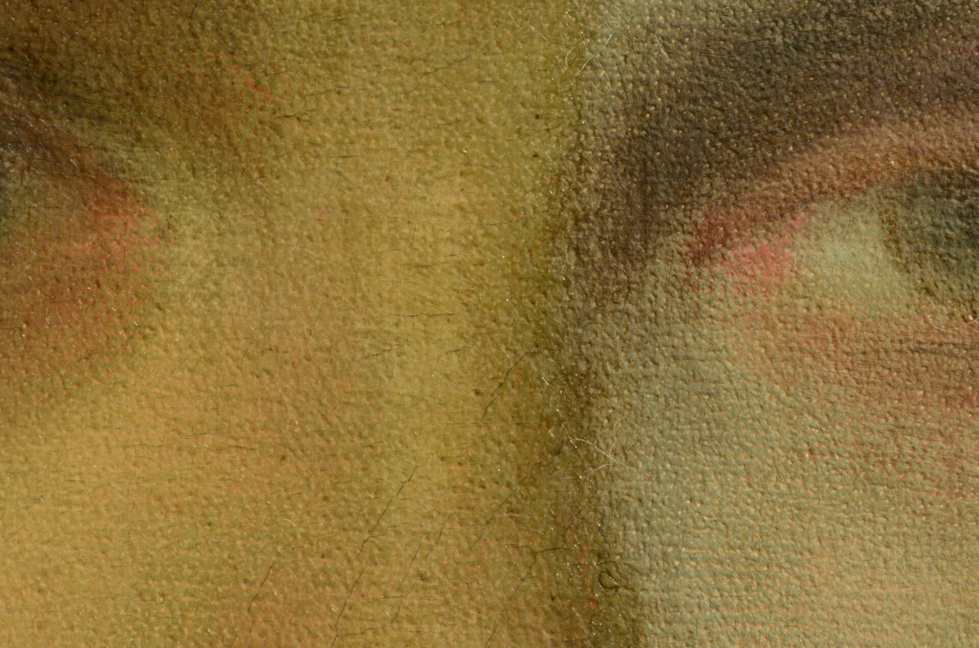 Arnold-böcklin-Fanny-Janauscheck-Detail-Nase-Auge-während-Firnisabnahme