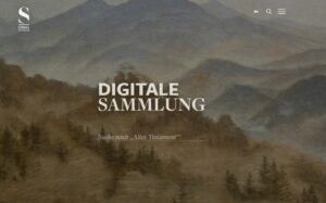 Die Startseite: In den Suchschlitz kann man so ziemlich alles eingeben und schon ist man drin