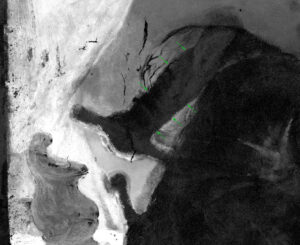 Die Verteilung des Elements Kupfer, MA-XRF Scan