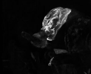 Die Verteilung des Elements Quecksilber, MA-XRF Scan