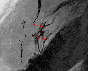 Die Verteilung des Elements Kupfer, MA-XRF Scan